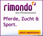 Hengste bei rimondo.com